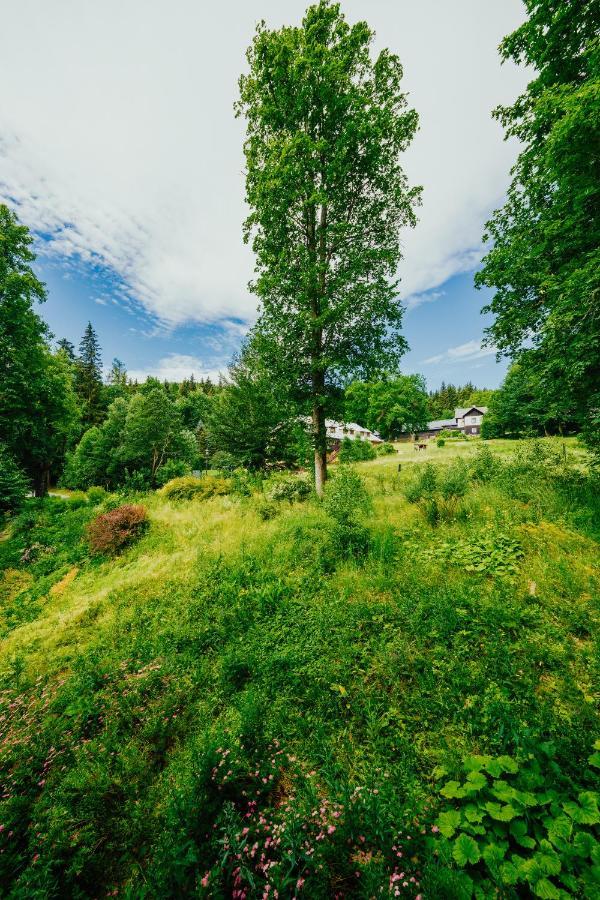 Apartmán U Vlka - Hubertus, Karlova Studánka Exteriér fotografie